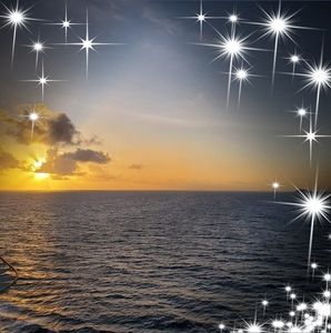 Meet your Posher, Todd